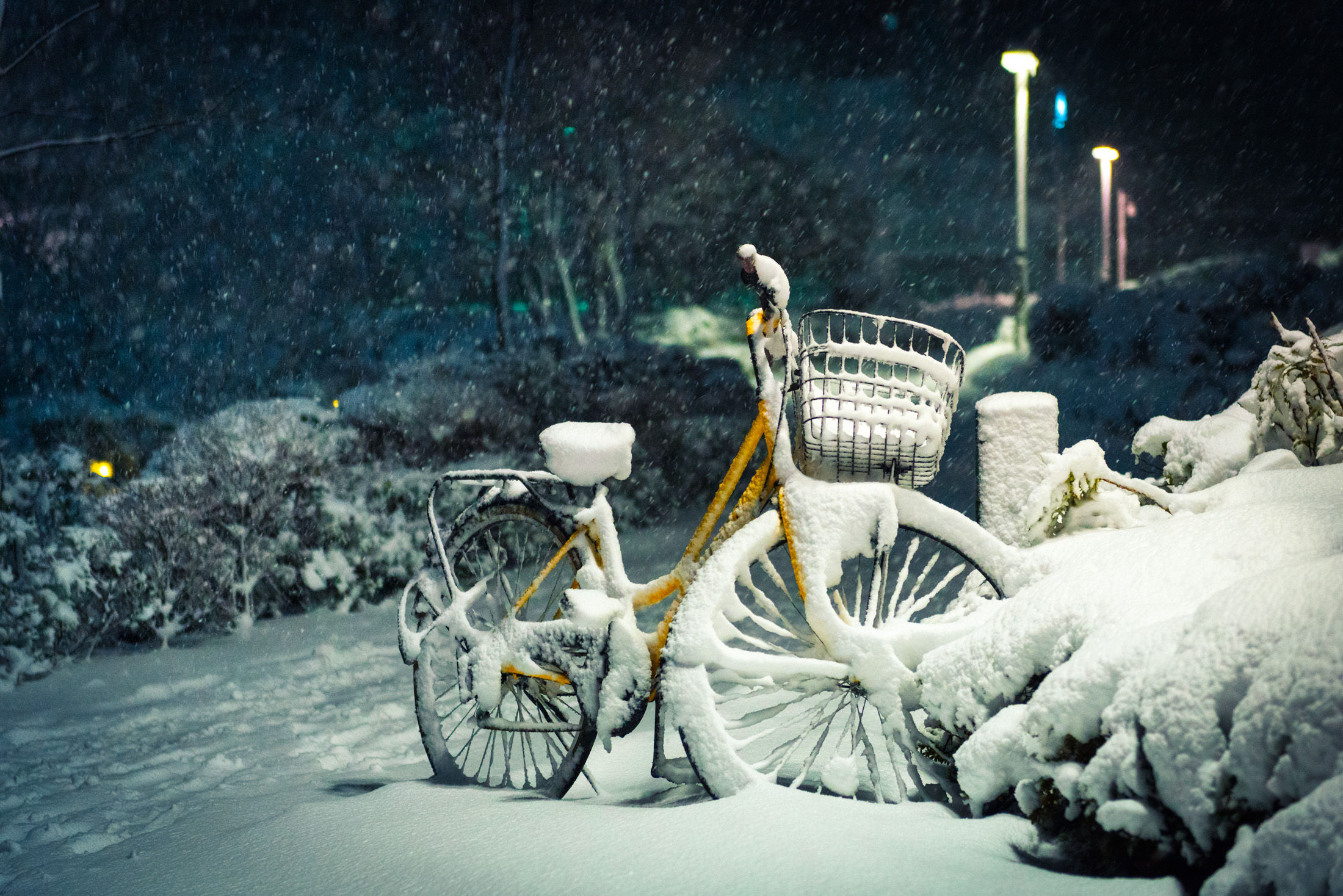 冬 | 日本の秘境